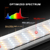 Lumină LED pentru cultivare Spider Farmer SE7000