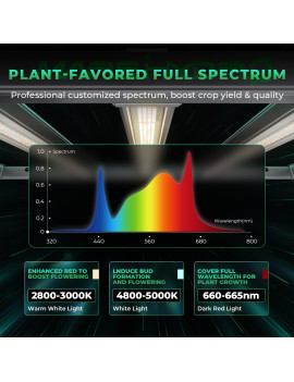 Ansamblu complet Mars Hydro Grow set FC-E 3000