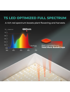 Ansamblu complet Mars Hydro Grow set TSW2000