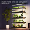 Cort complet pentru pre-cultivare 6 etaje Spider Farmer - 220W