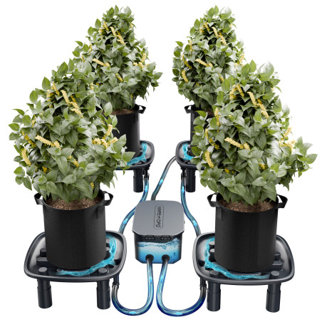 Sistem de auto-udare Mars Hydro 4