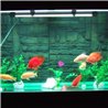 33 LED lumină impermeabilă pentru acvarii 59 cm