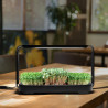 Set pentru cultivarea microplantelor Bentech GreenBoost