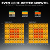 Mars Hydro FC 8000 lumină pentru cultivarea plantelor