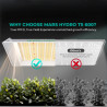 Mars Hydro TS600 Quantum Board - lampă pentru cultivarea plantelor