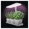 Lampă reglabilă cu LED EMOS pentru cultivarea plantelor aromatice, 7 W, cu temporizator, albă