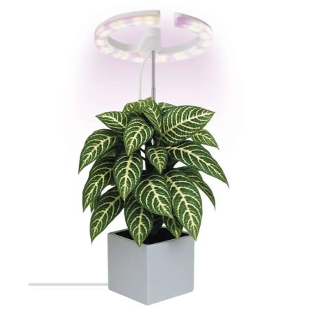 Lampă reglabilă cu LED EMOS GROW pentru cultivarea plantelor, 8 W, cu temporizator, albă