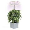 Lampă reglabilă cu LED EMOS GROW pentru cultivarea plantelor, 8 W, cu temporizator, albă