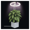 Lampă reglabilă cu LED EMOS GROW pentru cultivarea plantelor, 8 W, cu temporizator, albă