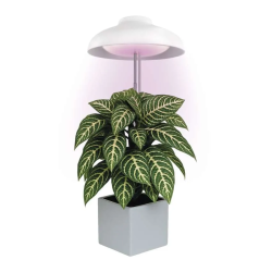 Lampă cu LED pentru cultivarea plantelor EMOS, 5 W, cu temporizator, albă