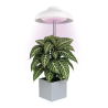 Lampă cu LED pentru cultivarea plantelor EMOS, 5 W, cu temporizator, albă
