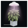 Lampă cu LED pentru cultivarea plantelor EMOS, 5 W, cu temporizator, albă
