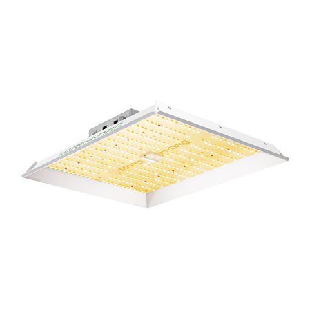 Mars Hydro TS1000 Quantum Board - lumină pentru cultivarea plantelor