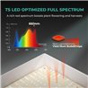 Mars Hydro TSW2000 Quantum Board - lumină pentru cultivarea plantelor