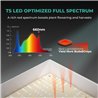 Mars Hydro TS3000 Quantum Board - lumină pentru cultivarea plantelor