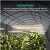 Mars Hydro TS3000 Quantum Board - lumină pentru cultivarea plantelor