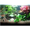 42 LED iluminat impermeabil pentru acvarii 78 cm