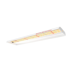 LED lumină pentru creștere Spider Farmer SF300