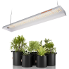 LED lumină pentru creștere Spider Farmer SF300