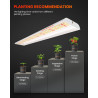 LED lumină pentru creștere Spider Farmer SF600