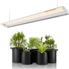 LED lumină pentru creștere Spider Farmer SF600