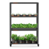 LED lumină pentru creștere Spider Farmer SF600