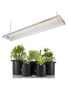 Pentru cultivarea plantelor