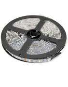 Benzi LED