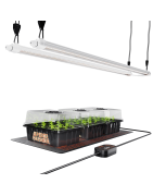 Microplante