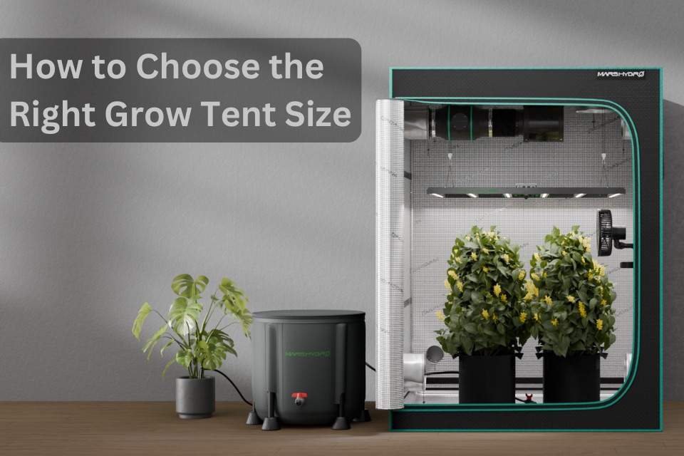 Ghid pentru alegerea corectă a growbox-ului