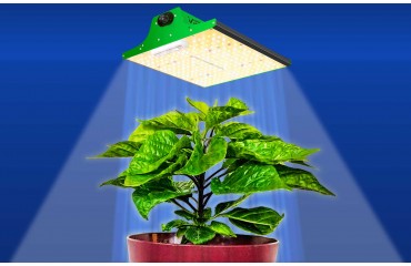 Cultivarea în interior sub LED-uri are o serie de avantaje. Care sunt acestea?